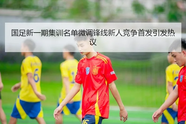 国足新一期集训名单微调锋线新人竞争首发引发热议