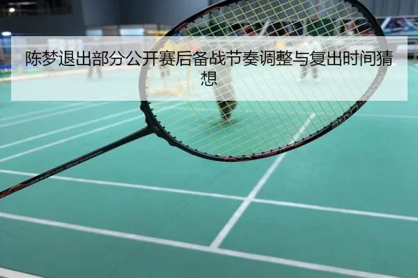 陈梦退出部分公开赛后备战节奏调整与复出时间猜想