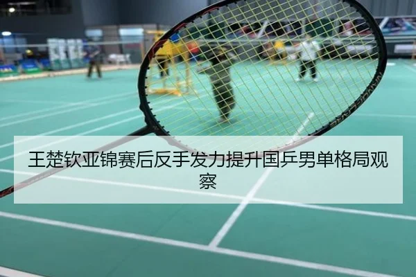 王楚钦亚锦赛后反手发力提升国乒男单格局观察