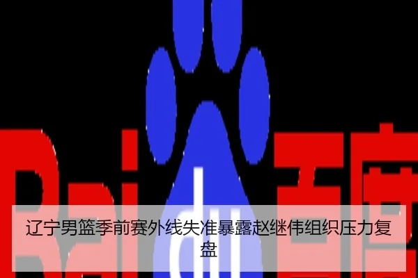 辽宁男篮季前赛外线失准暴露赵继伟组织压力复盘