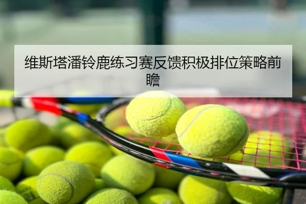 维斯塔潘铃鹿练习赛反馈积极排位策略前瞻